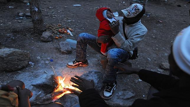 Bolingo, el bosque de los bebés de las pateras