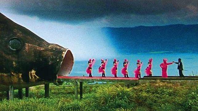 15 documentales pasan el penúltimo corte en la carrera hacia los Oscar