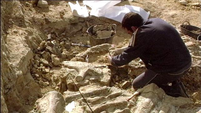 Una mina de dinosaurios