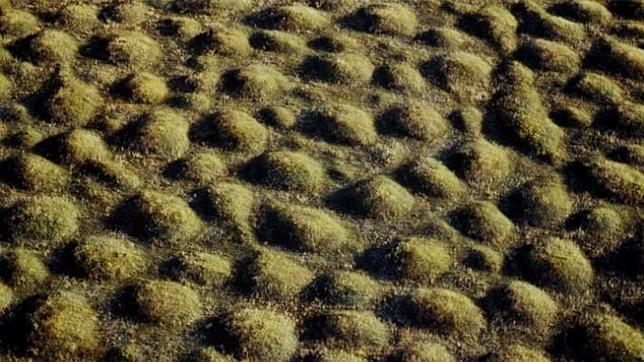 Resuelto el misterio de los montículos de Mima