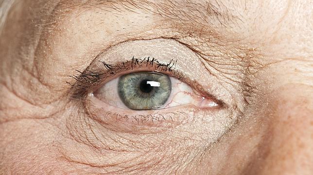 La fuente de la juventud está en nuestras propias células