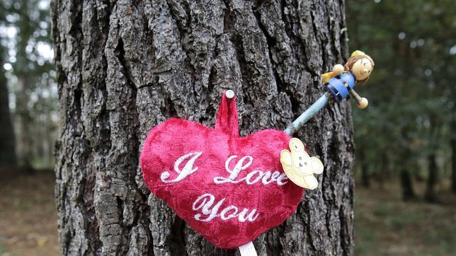 Testigos clave declaran hoy por el crimen de Asunta ante el juez Vázquez Taín