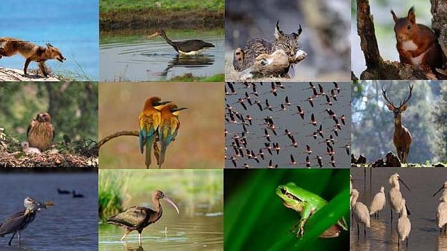 Hoy se estrena en 18 salas de España «Guadalquivir»