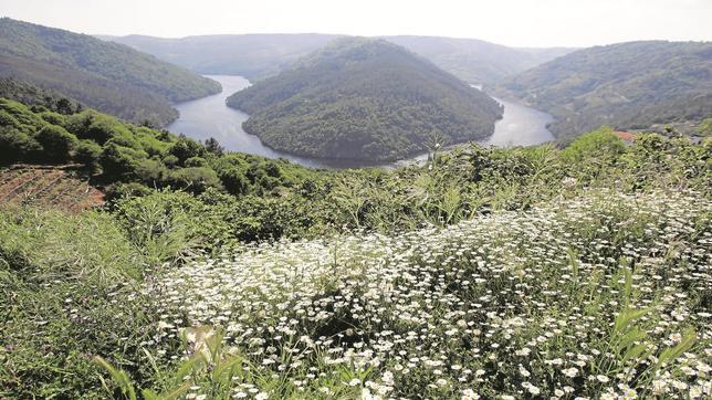 La Ribeira Sacra impone el consenso