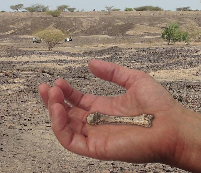 La primera mano verdaderamente humana