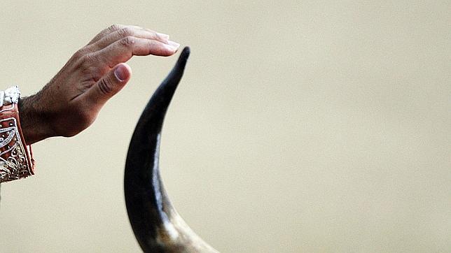 Los cinco ejes del Plan Estratégico Nacional de Fomento de la Tauromaquia