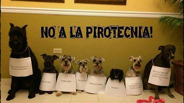 Un grupo de perros une sus ladridos para pedir el fin de la pirotecnia en Navidad