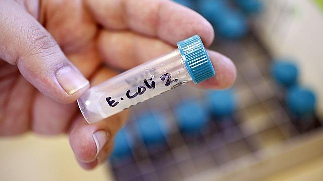 Expertos pronostican una era «post antibiótica»