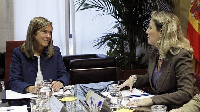 Mato se compromete a reformar la Ley de Familias Numerosas