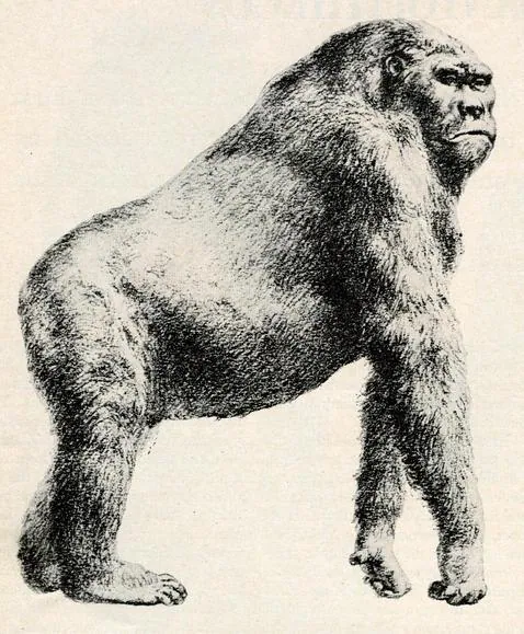 ¿Qué acabó con el primate más gigantesco de la Tierra?