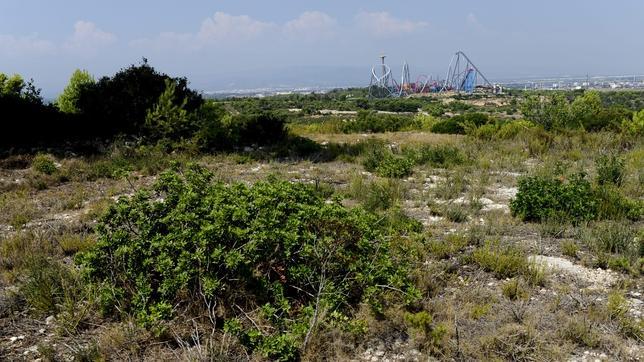 BCN World llega al Parlament con dudas sobre su dimensión