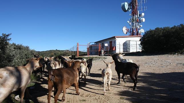 El Gobierno fuerza el cese de las emisiones de Catalunya Ràdio en la Comunidad Valenciana