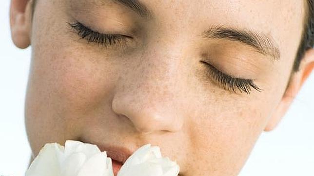 La grasa de los alimentos se puede oler