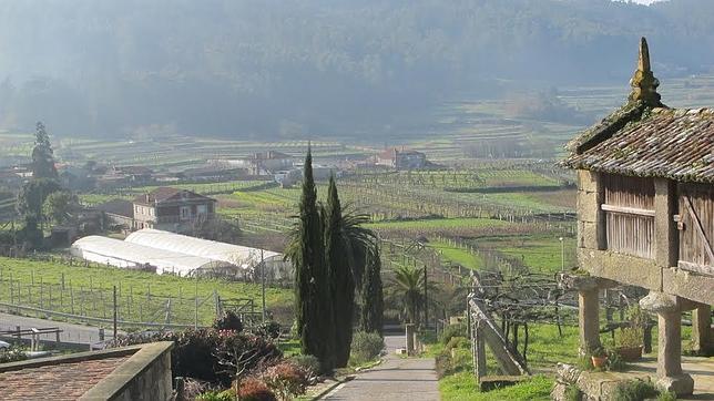 Así es la D.O. Rías Baixas