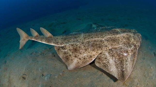 Red Natura 2000: Cada euro invertido en su gestión genera 20 de beneficios