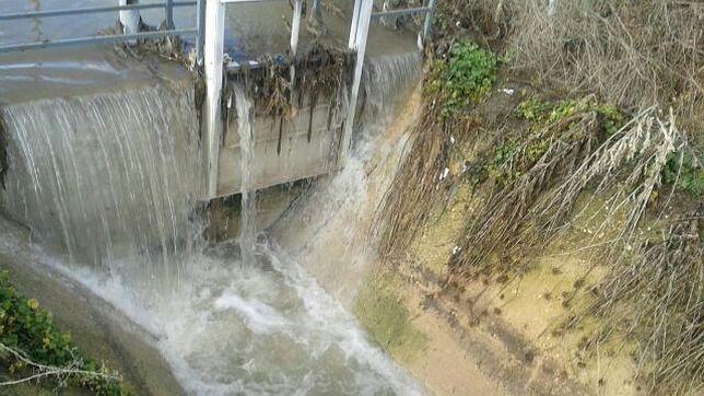 Alertan de un nuevo vertido de aguas residuales a las Tablas de Daimiel