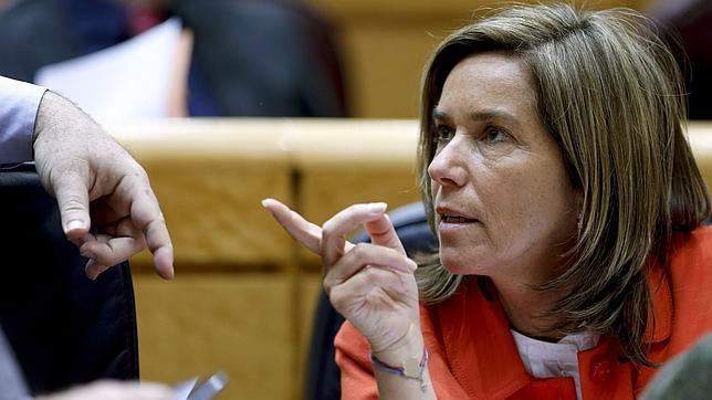 Ofensiva del PSOE en el Senado contra el Anteproyecto de Ley del Aborto del PP