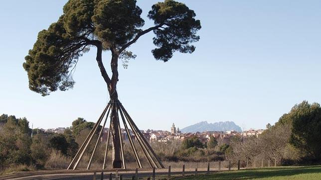 Cuatro rutas para hacer running en la sierra de Barcelona