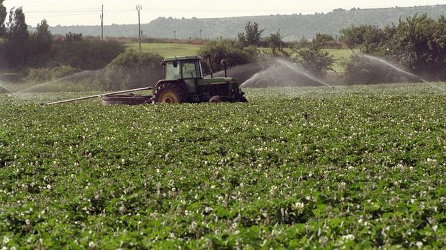 La factura eléctrica de los regantes se ha encarecido 311 millones de euros al año
