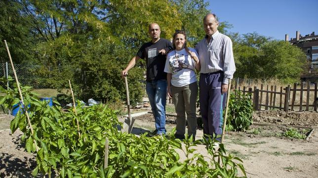 El Ayuntamiento legalizará este año una veintena de huertos urbanos