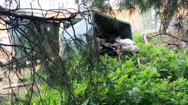 El PP lleva al Pleno el «abandono» que sufre el parque del Crucero