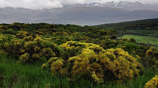 Sierra de Gredos
