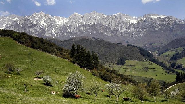 Picos de Europa