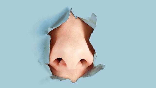 Los humanos también podemos oler las enfermedades