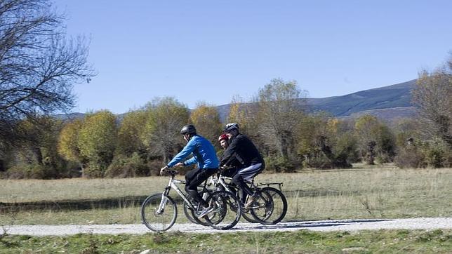 Diez consejos para atenuar los efectos de la alergia al polen