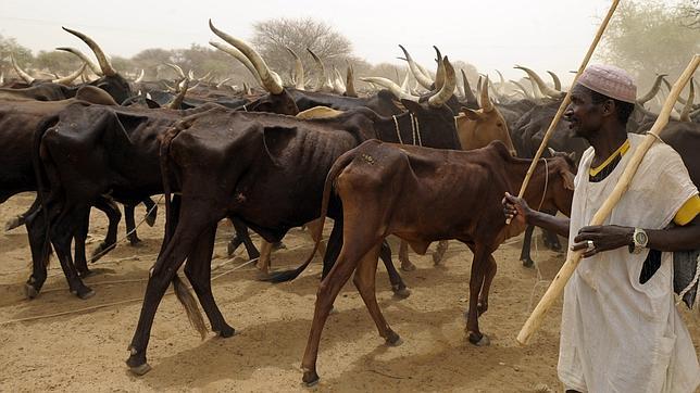 La sangrienta lucha por las zonas de pastoreo africanas