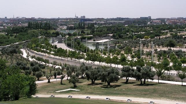 Parque de Juan Carlos I de Madrid