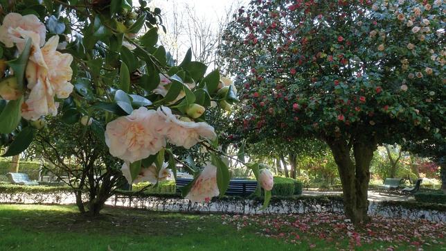 La alameda de Santiago da entrada al casco antiguo de la ciudad