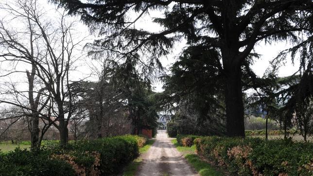 El paseo principal de entrada a la finca de Torre Arias, en San Blas-Canillejas