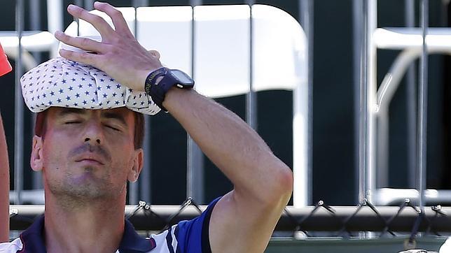 Tommy Robredo, un hueso duro para Djokovic