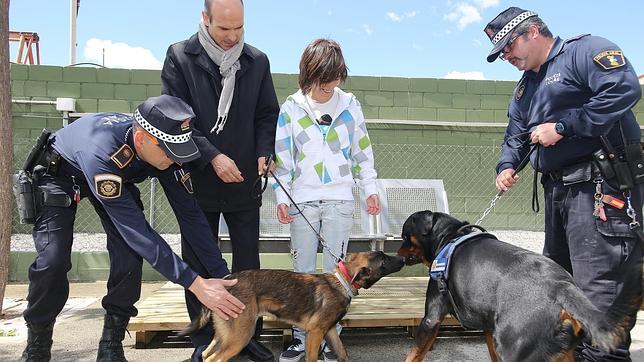 Un perro policía ayuda a superar el pánico a la víctima de un rottweiler