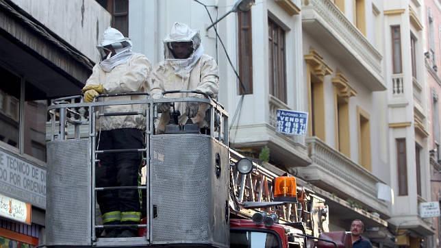 Los bomberos retiran seis panales de abejas en un solo día