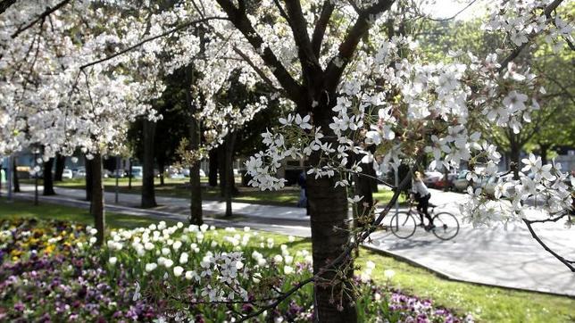 ¿Qué tiempo hará esta Semana Santa?