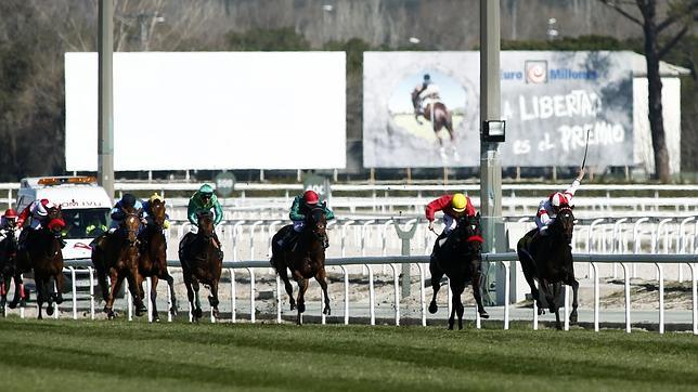 Una carrera de caballos en plena Castellana