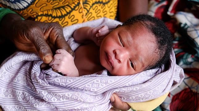 La dieta materna antes de la concepción determina la salud de los hijos