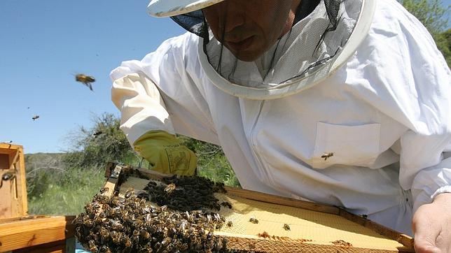 Crece el emprendimiento en el sector medioambiental en un 40% desde 2011