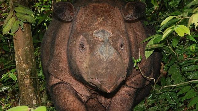 50 aniversario de la Lista Roja