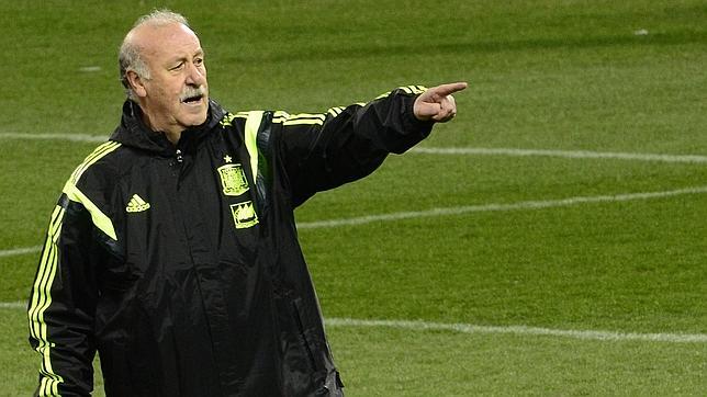 Torres, Villa, Mata y Llorente entran en la lista previa de Del Bosque para Brasil