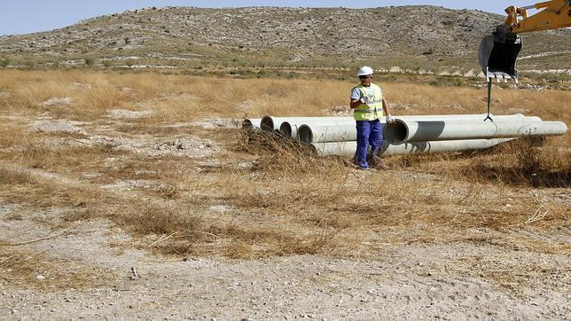 Alerta roja: la sequía ya causa pérdidas de 320 millones en el campo valenciano
