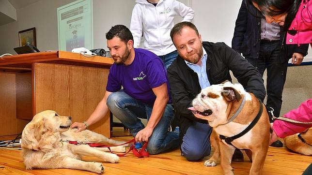 Sesiones de 15 minutos con perros antes de un examen para mejorar las notas