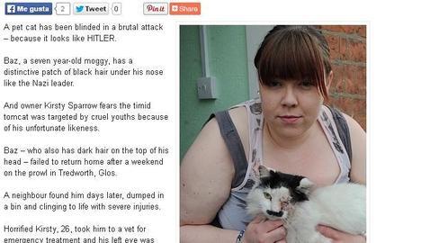 Golpean a un gato que se «parece» a Hitler