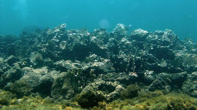 El supuesto pecio de la Santa María, según Barry Clifford