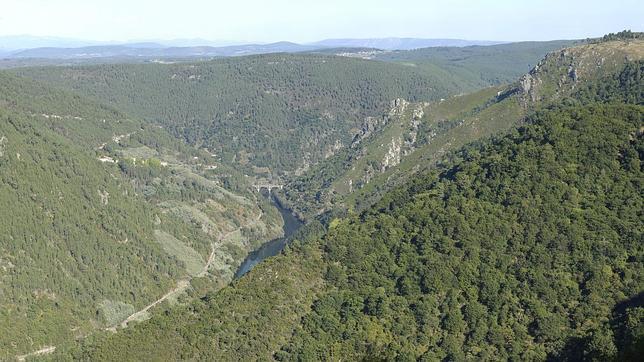 La protección del medio ambiente, clave en la nueva legislativa