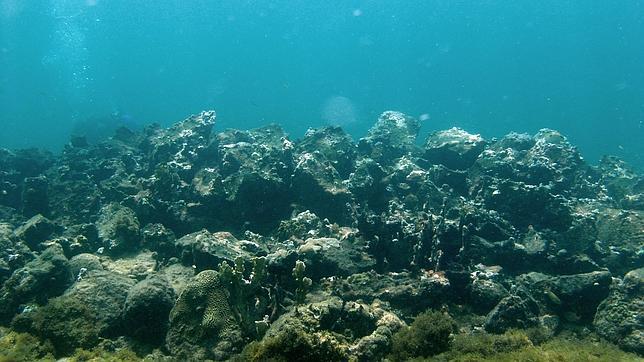 Haití creará una comisión para el hallazgo de la nao Santa María de Cristóbal Colón