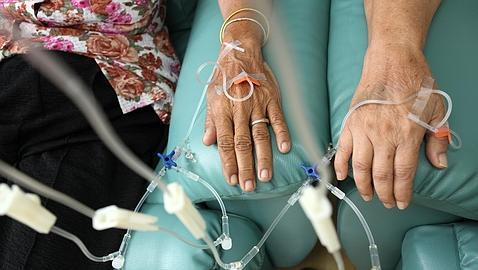 El ayuno estimula el sistema inmunitario de ratones sometidos a quimioterapia