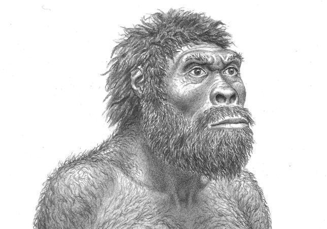 La cara masculina, modelada a puñetazos prehistóricos